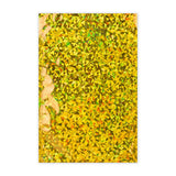 Holograficzne koperty foliowe